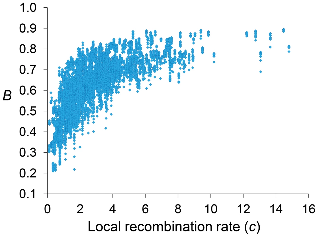 Relationship between local recombination rates and estimates of <i>B</i> across trimmed chromosomes.