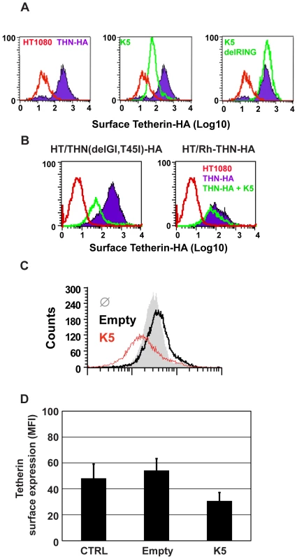 K5 mediates cell-surface down-regulation tetherin.