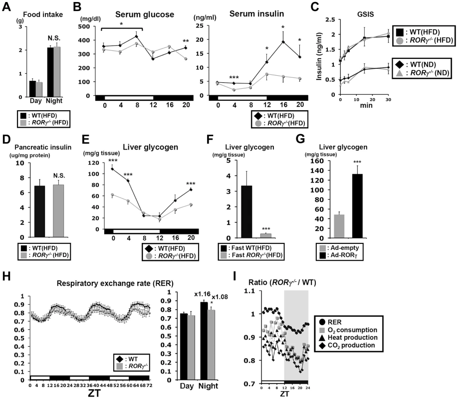 Blood insulin and hepatic glycogen levels are reduced in <i>RORγ<sup>−/−</sup></i> mice.