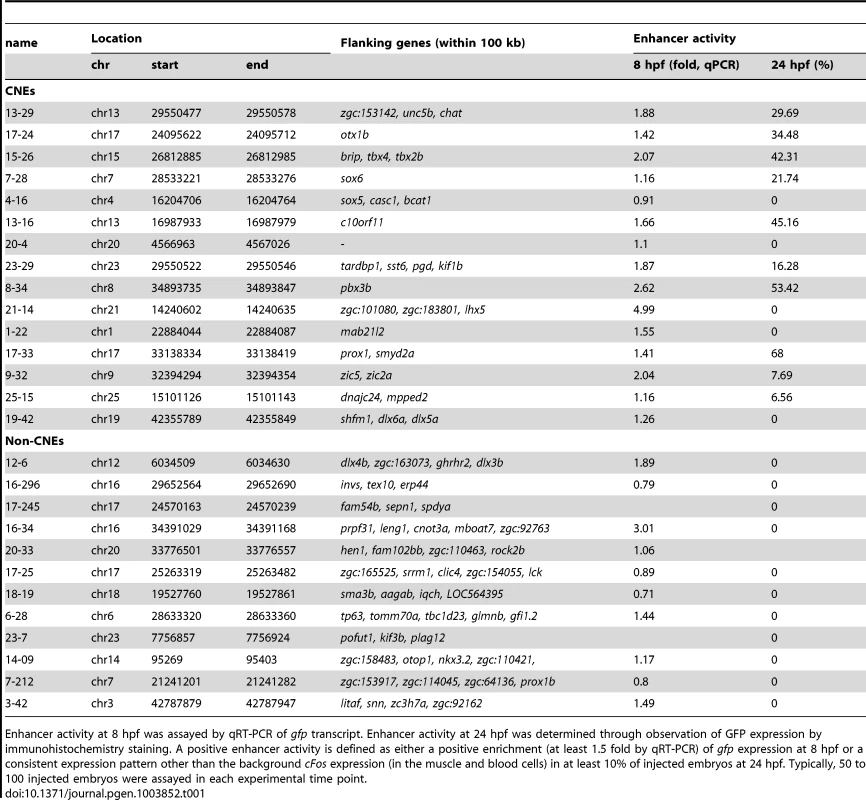 List of CNE and non-CNE fragments tested using <i>in vivo</i> enhancer assay.