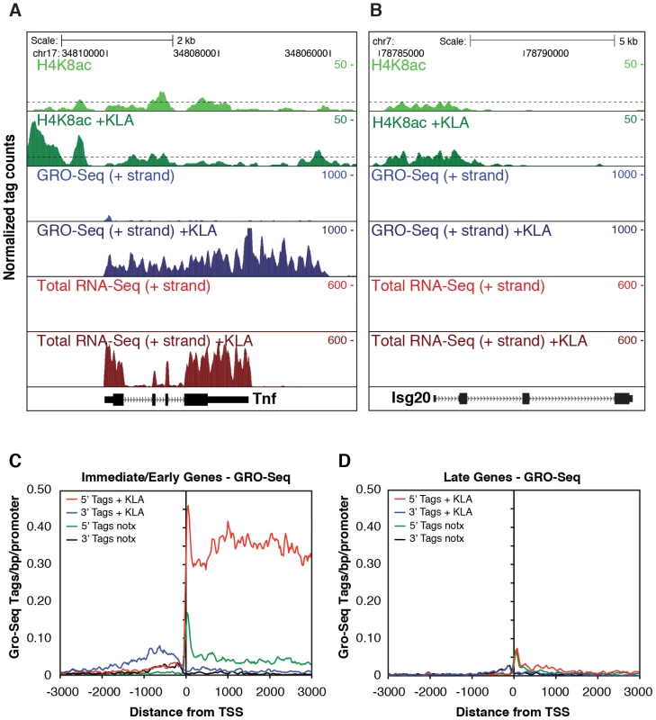 Analysis of nascent RNA transcripts (GRO-Seq), total RNA, and H4 acetylation.