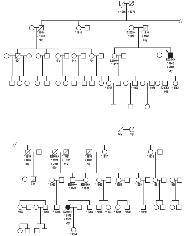 Genealogy of the family with patient homozygous for the mutation E200K.