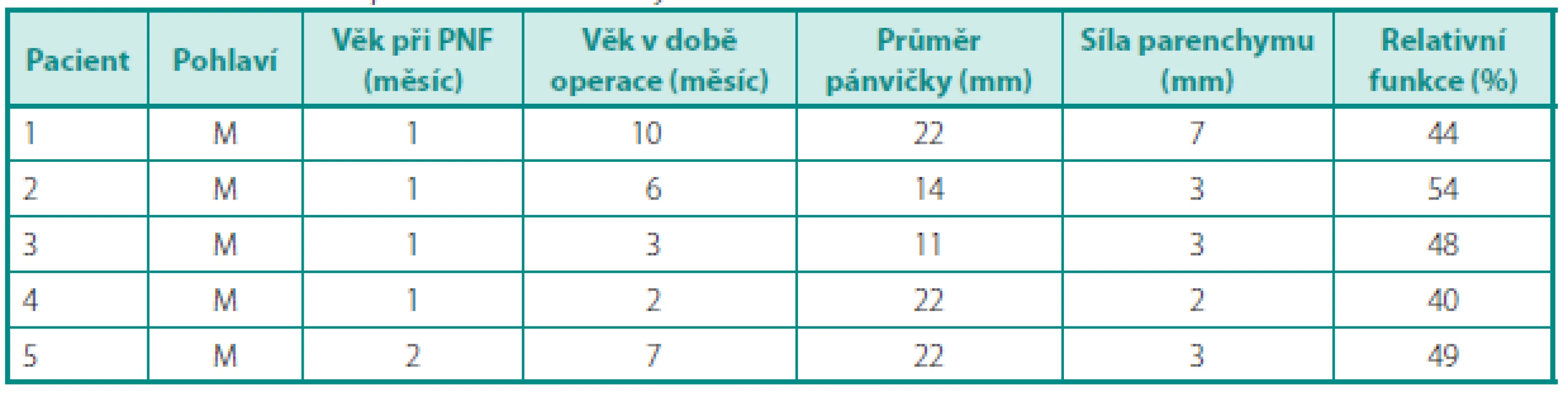 Charakteristiky pacientů s prodělanou APN
Table 1. Characteristics of patients with a history of APN
