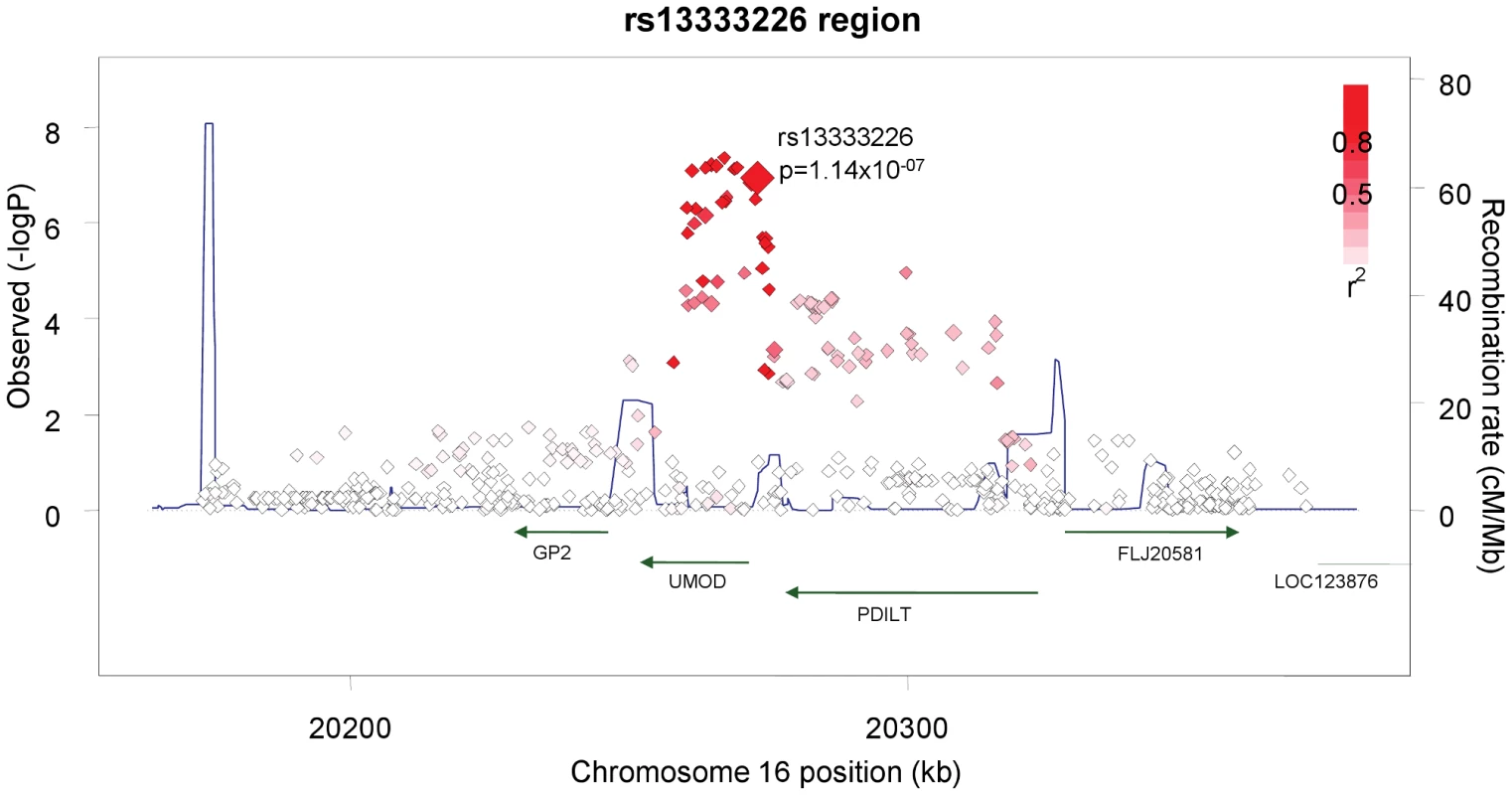 Association plot of the genomic region around rs13333226 showing both typed and imputed SNPs with location of genes and recombination rate.