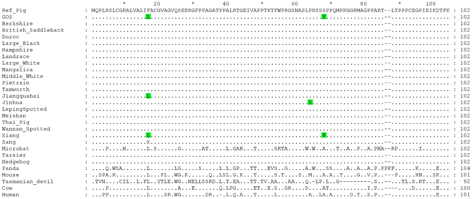 Multiple sequence alignment for the signal peptide and N-terminal extracellular domain of the EDNRB protein.