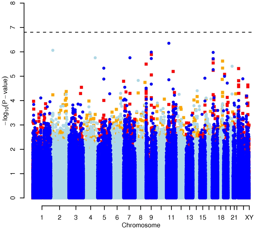 Manhattan plot of genome-wide effects on triglyceride levels in the Swedish discovery cohort.