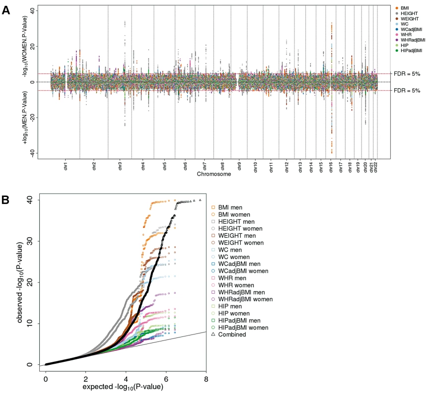 Genome-wide scan for sex-specific genome-wide association highlights numerous loci.