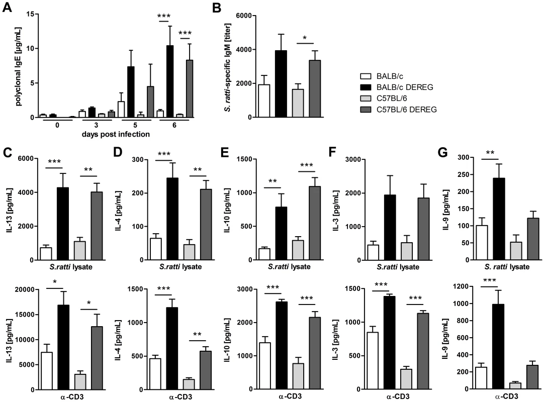 Immune response in the presence and absence of Treg during <i>S. ratti</i> infection.