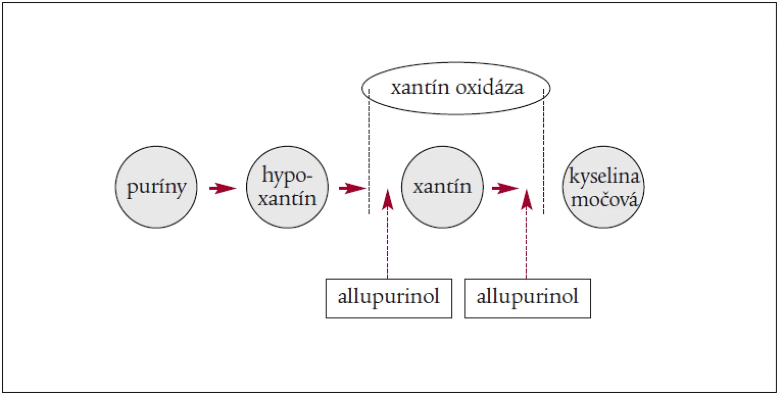 Mechanizmus pôsobenia allopurinolu.