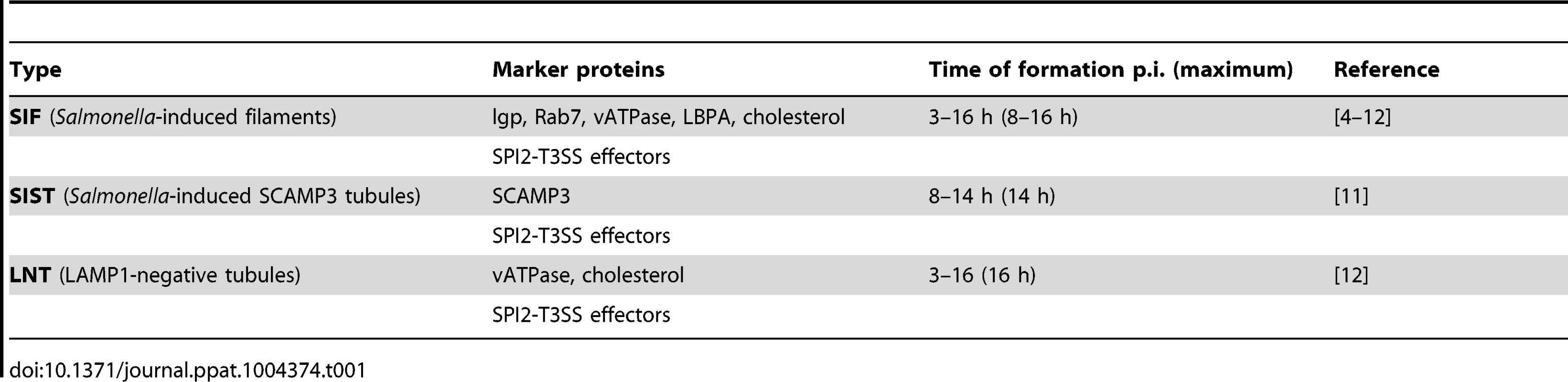 Features of &lt;i&gt;Salmonella&lt;/i&gt;-induced tubules (SIT).