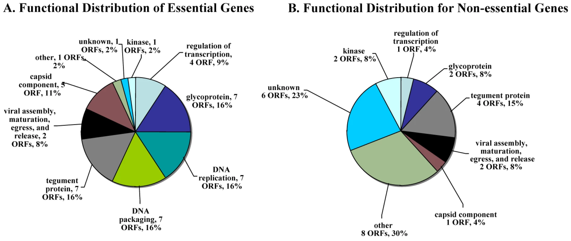 Distribution of functional annotations for essential and non-essential genes.
