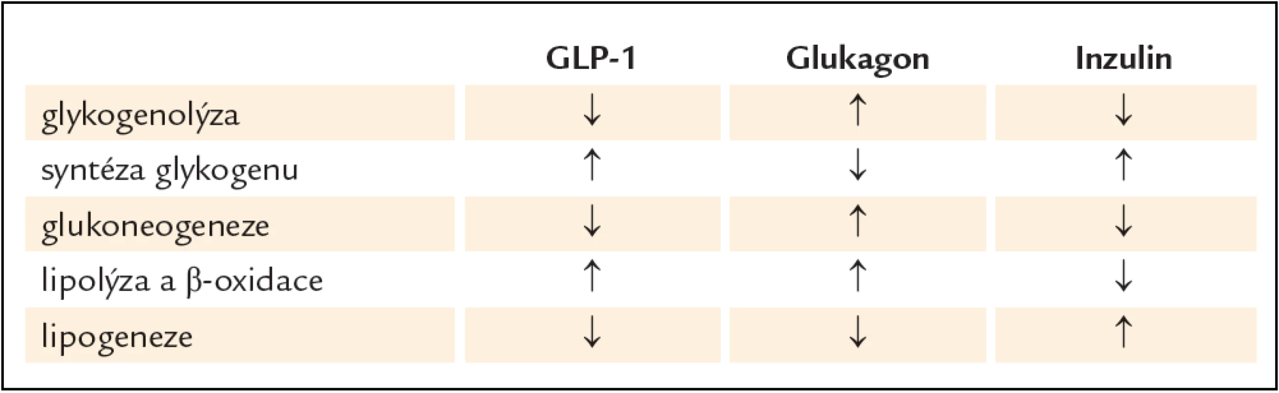Porovnání účinku GLP-1 (a jeho štěpných produktů), glukagonu a inzulinu na jaterní metabolizmus sacharidů a lipidů.