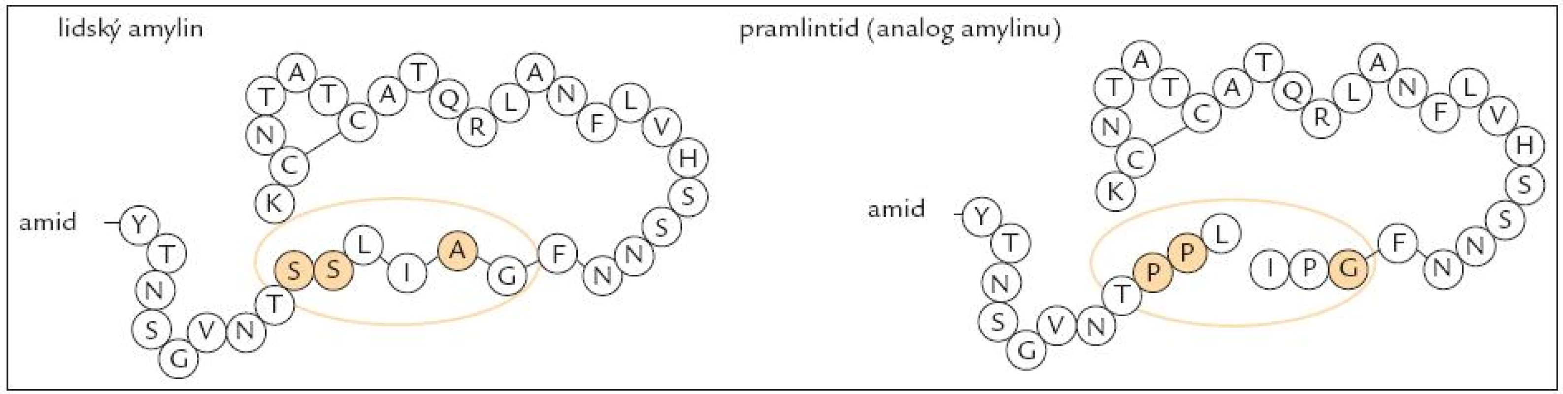Struktura amylinu a analoga amylinu (pramlintidu) [52].