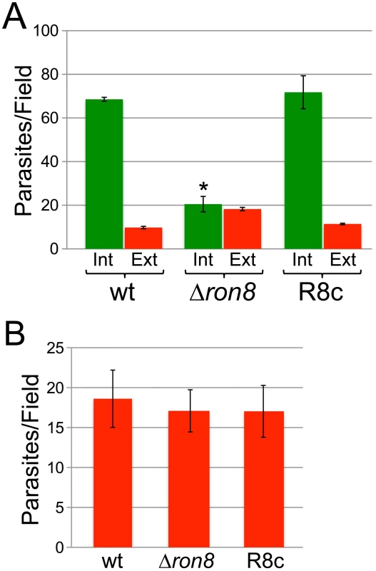 Parasites lacking RON8 are deficient in invasion likely through increased detachment from host cells.
