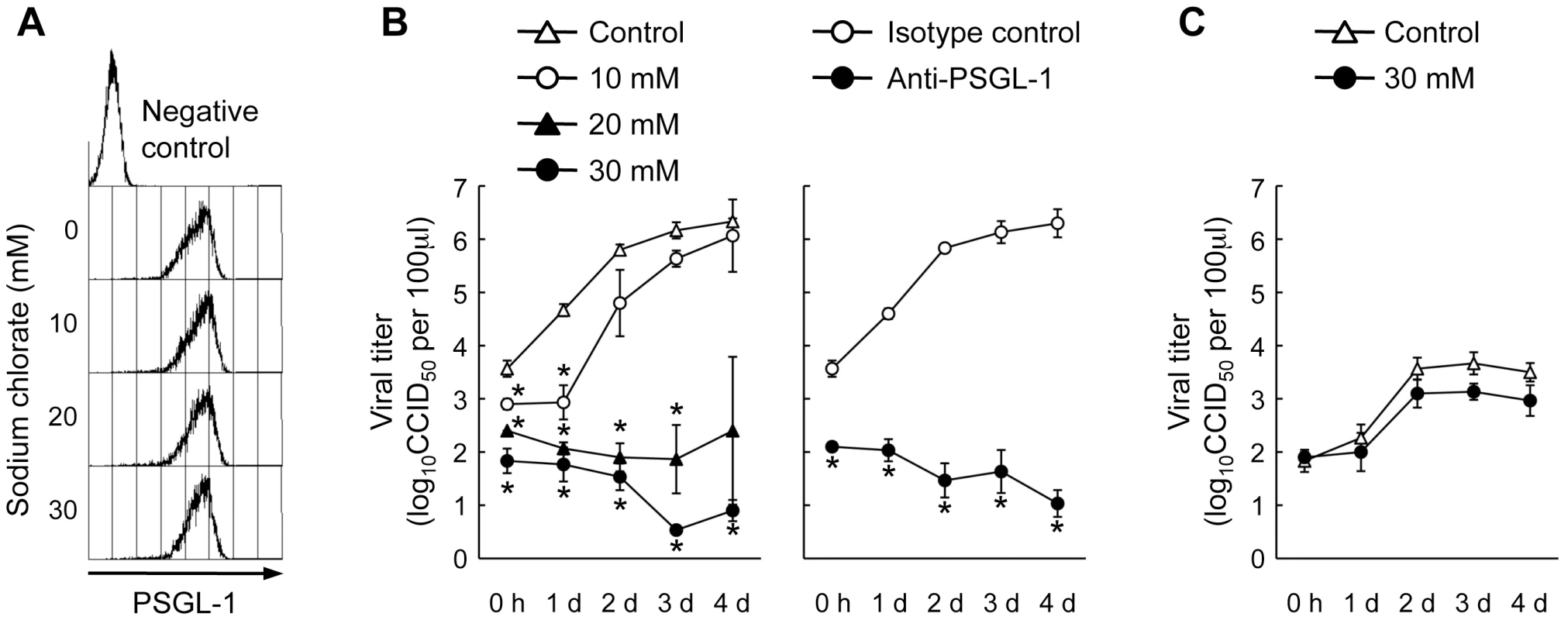 Effect of sodium chlorate on EV71-1095 replication in Jurkat T cells.