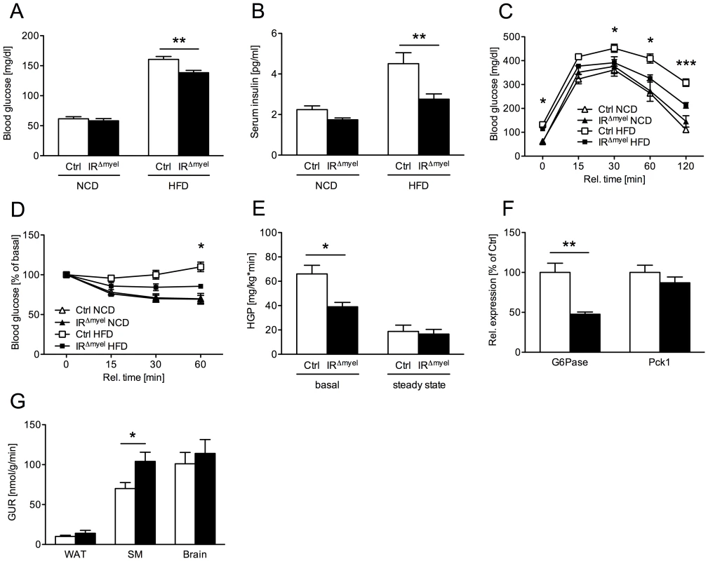 IR<sup>Δmyel</sup>-mice are protected against obesity-induced insulin resistance.