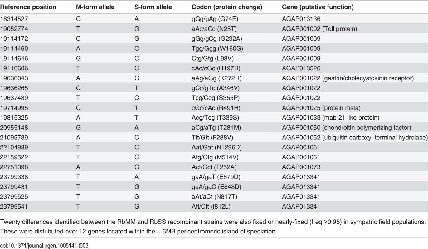 Protein coding changes identified between the RbMM and RbSS strains confirmed in sympatric field populations of <i>An</i>. <i>coluzzii</i> and <i>gambiae</i> s.s.
