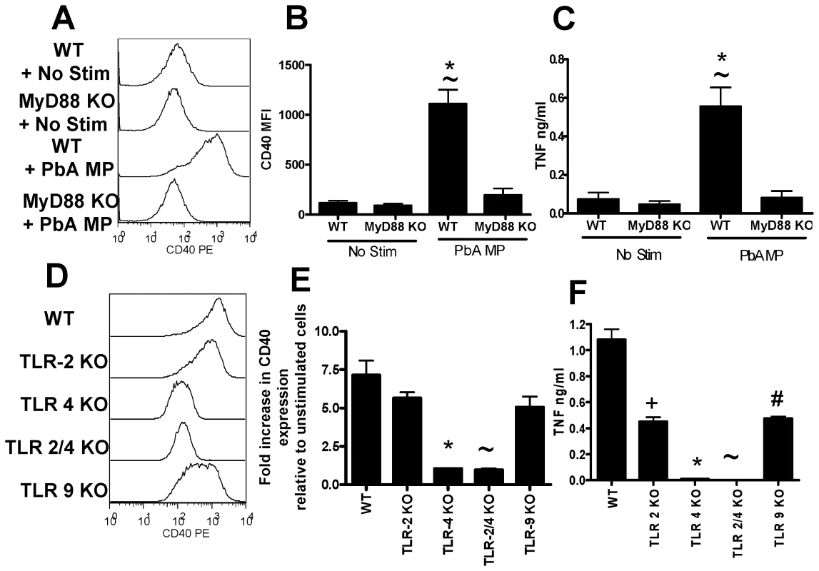 Microparticle driven macrophage activation is MyD88 and TLR-4 dependent.