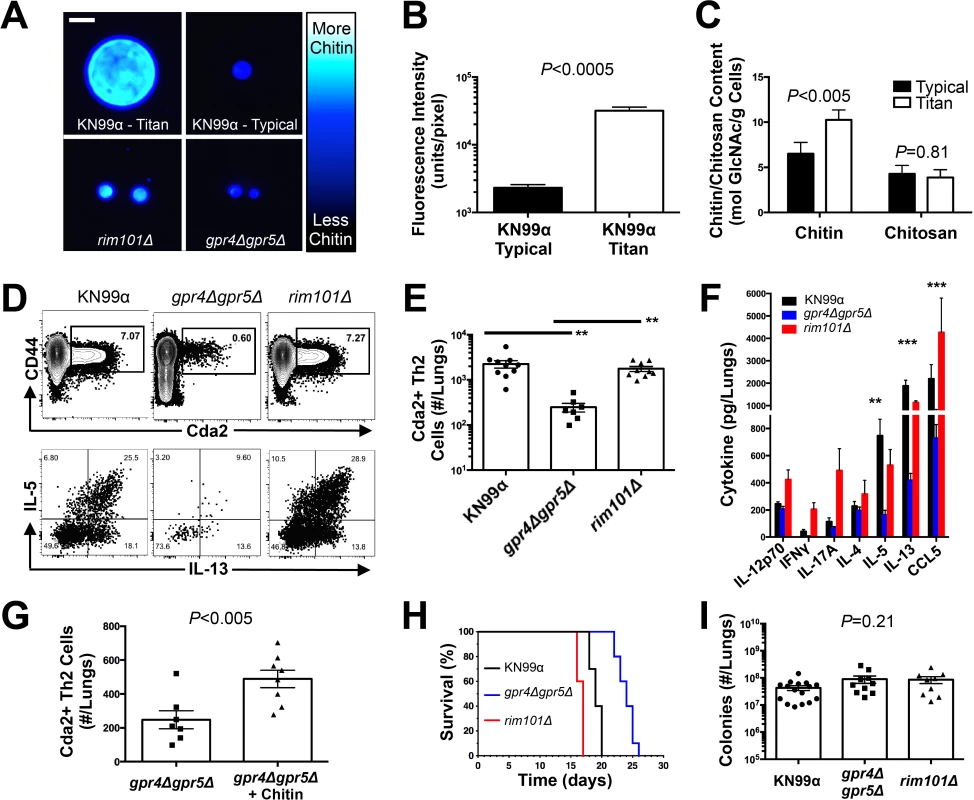 <i>C</i>. <i>neoformans</i> Chitin Correlates with Type-2 Helper T Cell Response and Subsequent Disease.