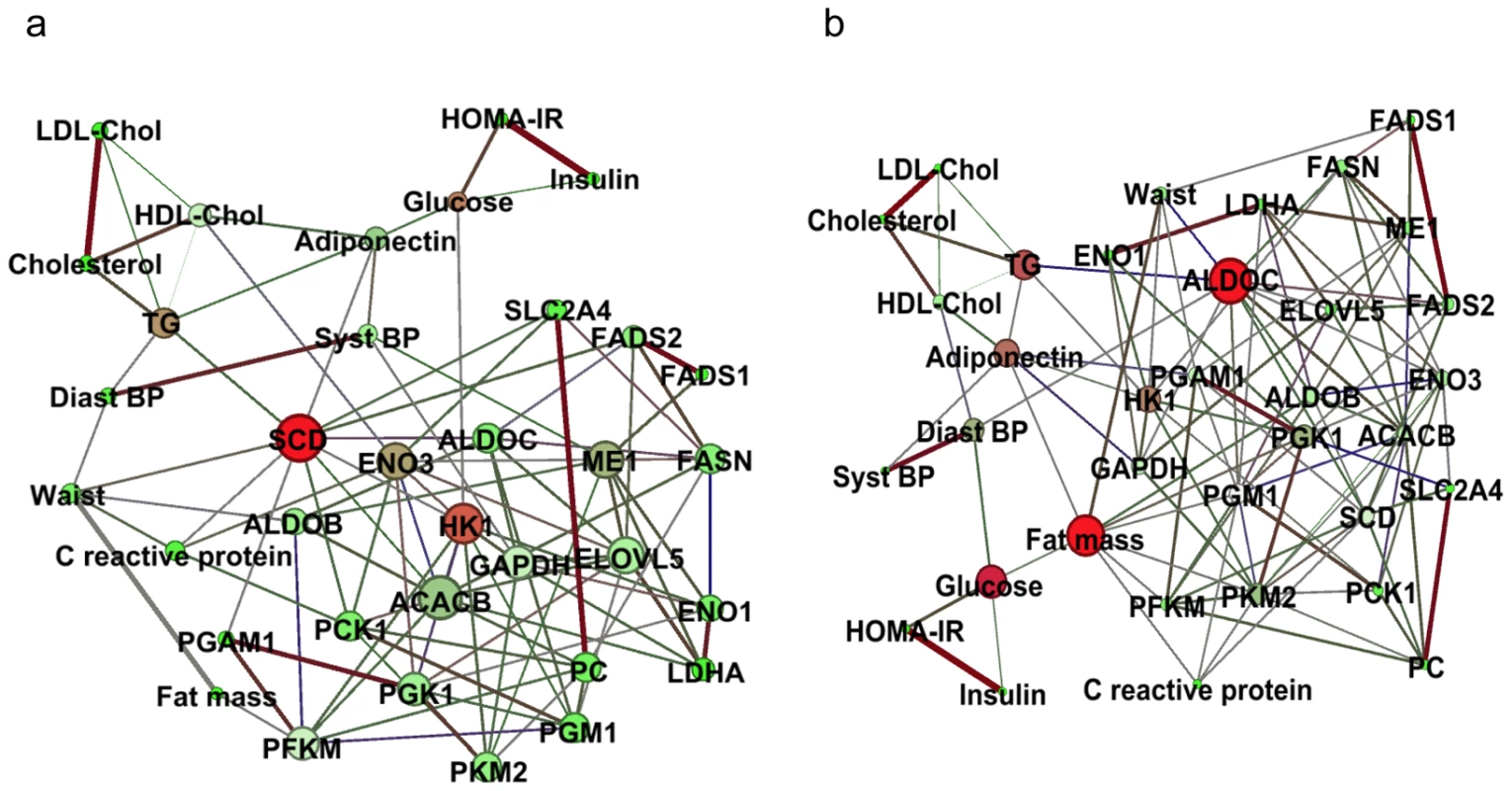 Dependency networks and dietary intervention.