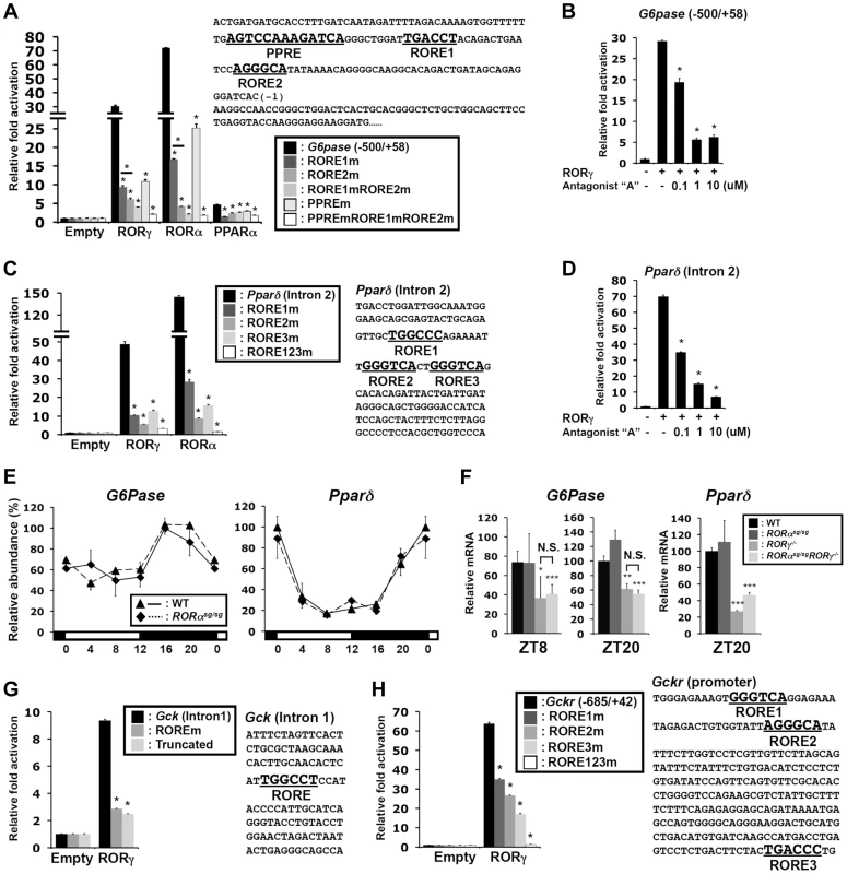 Transcriptional regulation of glucose metabolic genes by RORγ.