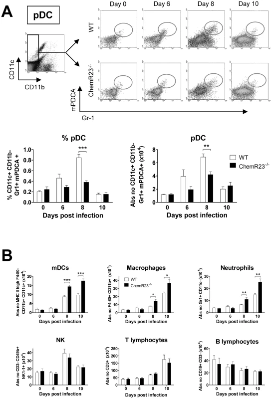 Plasmacytoid dendritic cell recruitment to the lung is less efficient in ChemR23<sup>−/−</sup> mice during PVM infection.