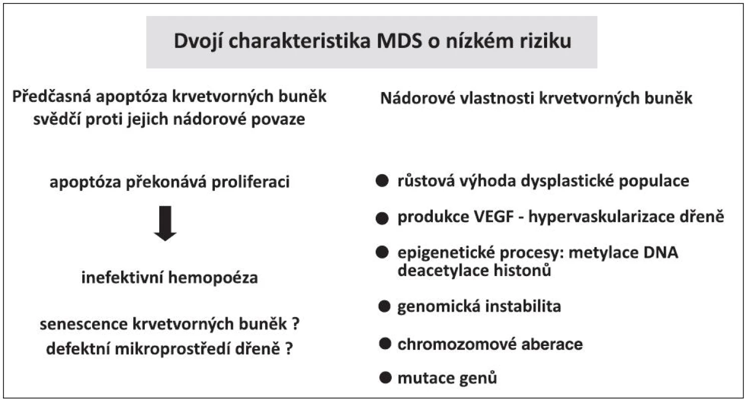 MDS o nízkém riziku na jedné straně se vyznačuje předčasnou apoptózou, na druhé straně typickými vlastnostmi nádorových buněk.