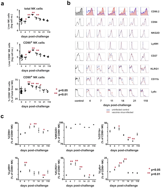 Kinetic and phenotypic analysis of liver NK cell responses following primary vaccinia virus infection reveals the preferential expansion of a Thy1<sup>+</sup> population.