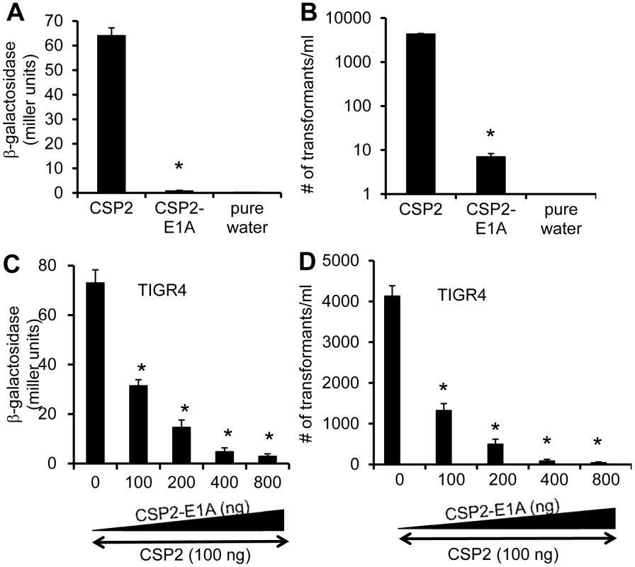 CSP2-E1A inhibits competence development and transformation in ComD2 strain TIGR4.