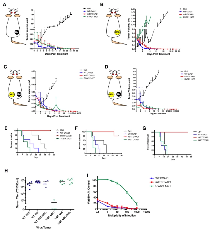 MicroRNAs regulate virus tropism in vivo, but can be saturated by high-level viremia.