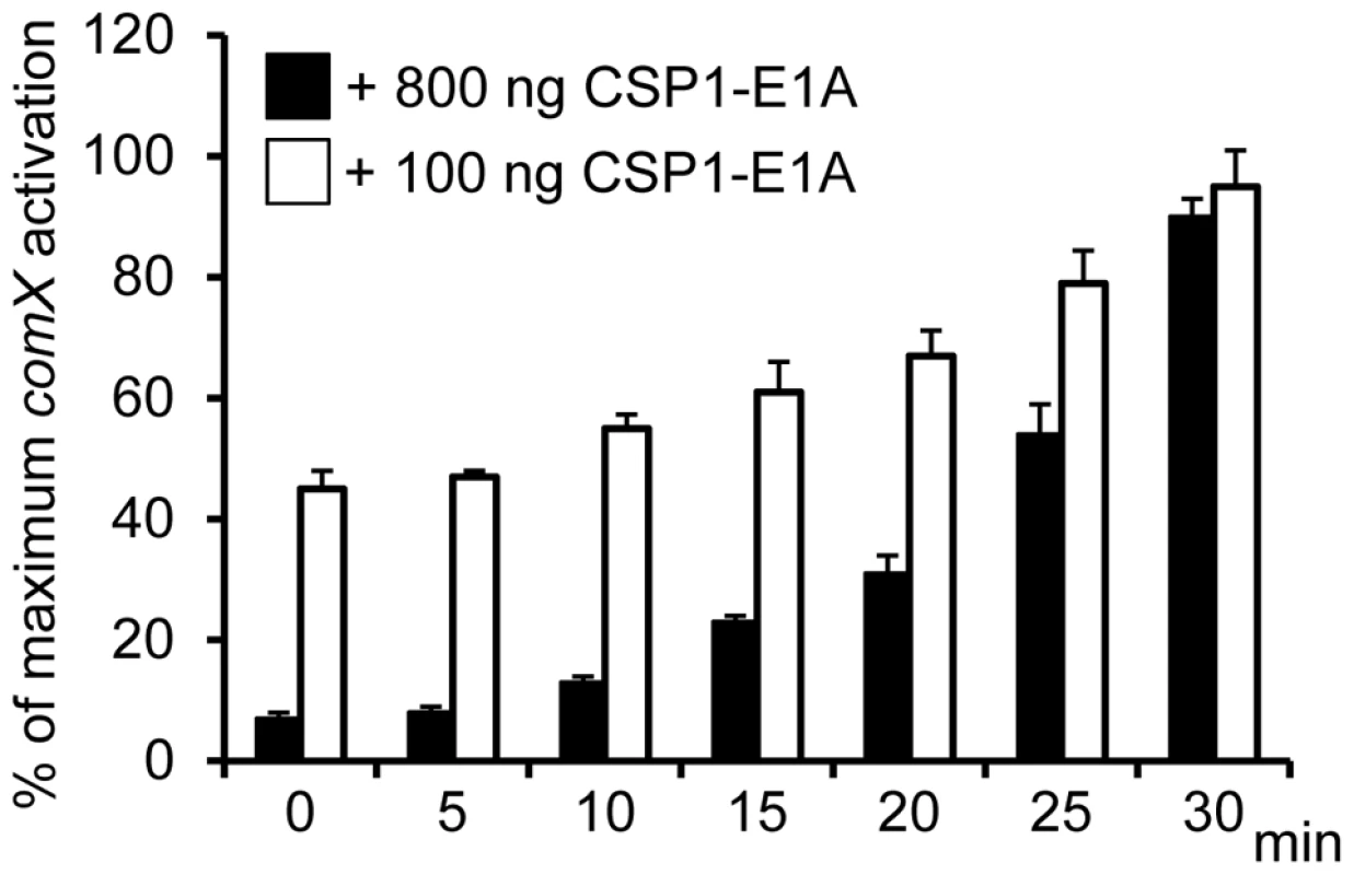 Time-dependent inhibition of CSP1 by CSP1-E1A.