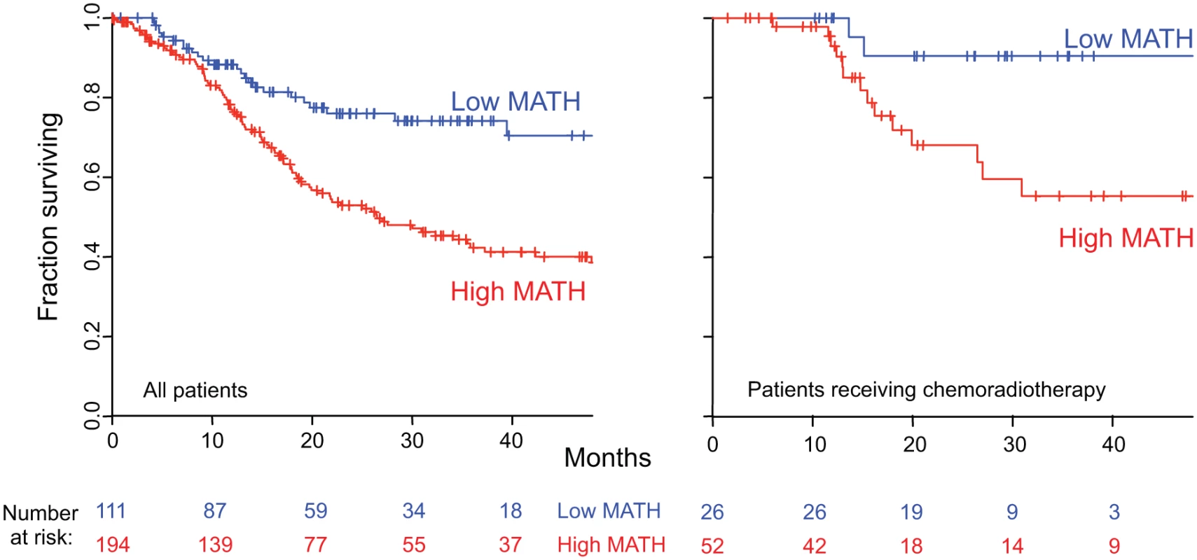 Relation of intra-tumor heterogeneity to overall survival in HNSCC.