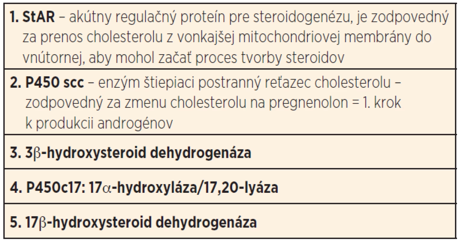 Známe enzymatické defekty pri poruche biosyntézy androgénov, vedúce k 46, XY DSD.