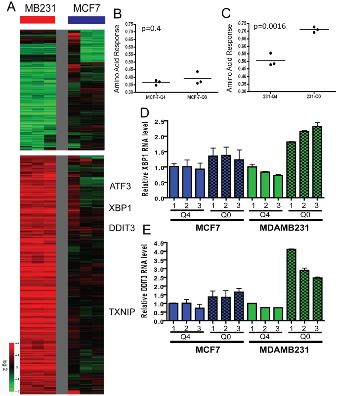 The transcriptional response of breast cancer cell lines to glutamine deprivation.