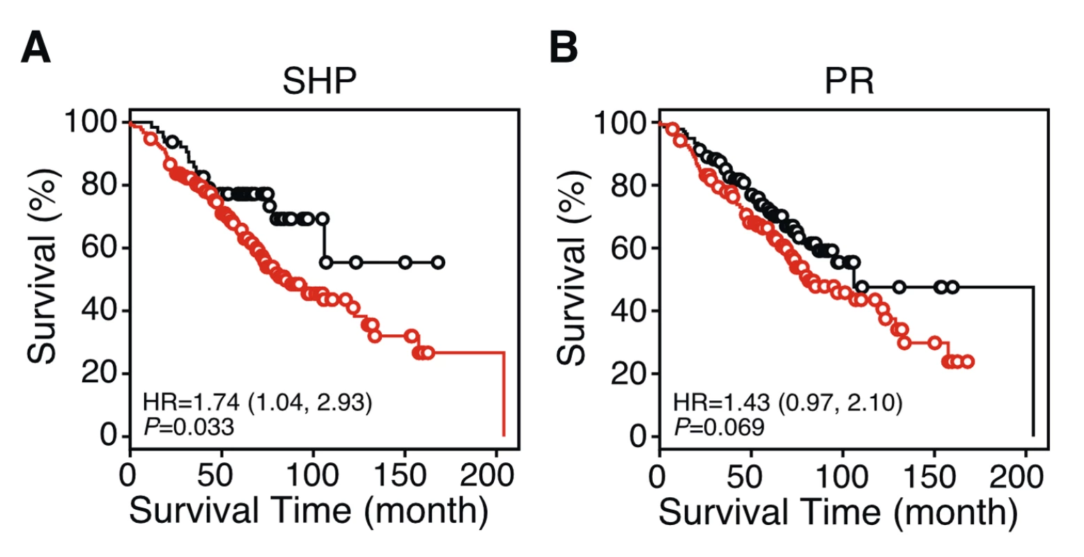 Kaplan-Meier survival plots showing single NR gene predictors in patients with stage I lung cancer.