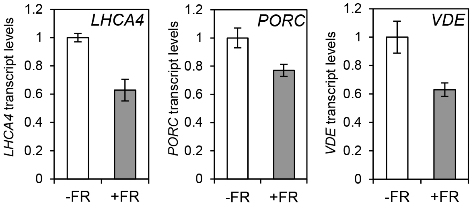 Photopigment gene expression response to an End of Day (EOD)-Far Red (FR) light treatment in Col-0.