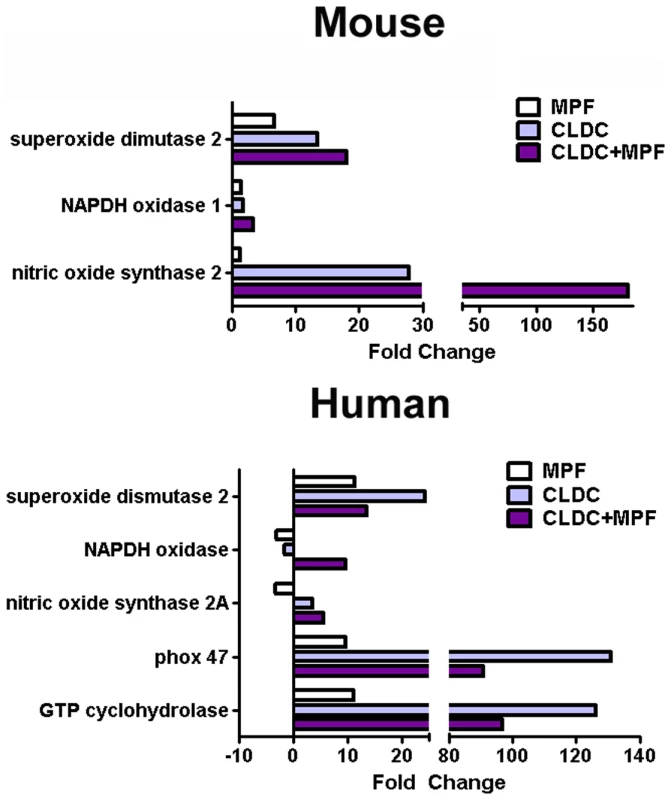 Induction of RNS and ROS genes by CLDC+MPF.