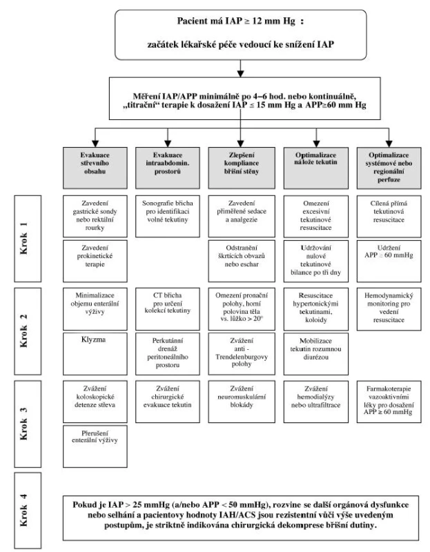 Doporučený algoritmus medicínského řešení IAH / ACS
Fig. 1: Recommended IAH / ACS medical management algorithm