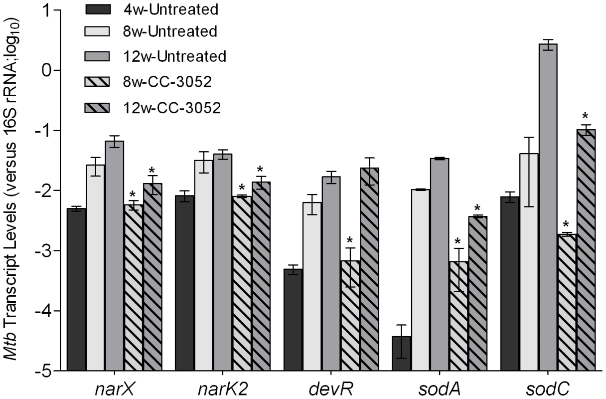 Effect of CC-3052 treatment on the expression of <i>Mtb</i> stress response genes in rabbit lungs.