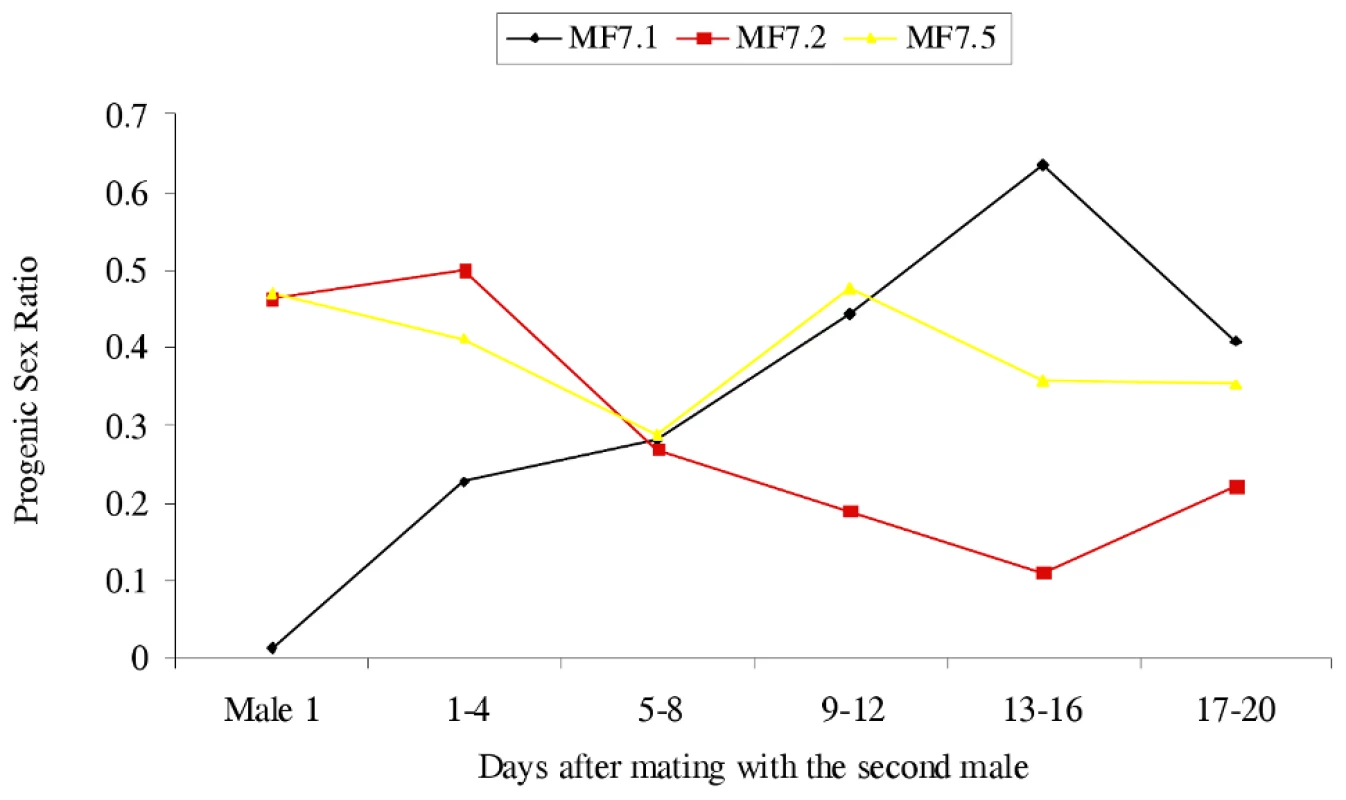 The effect of changing the male on progeny sex ratios produced by <i>C. sexmaculata</i> females.