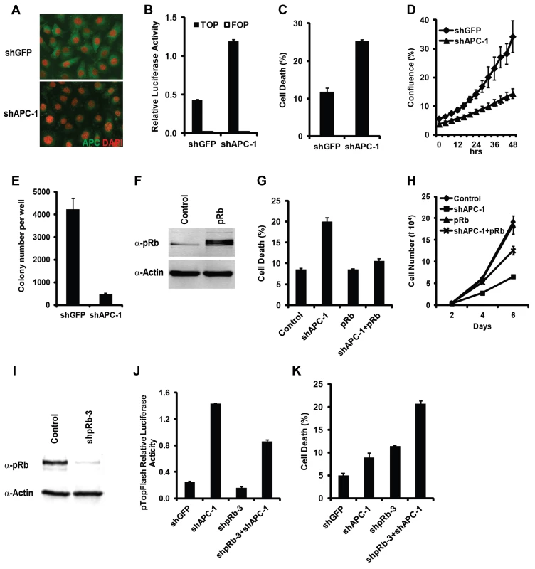 Hyperactivation of Wnt signaling and inactivation of Rb induced synergistic cell death effect in mammalian cells.