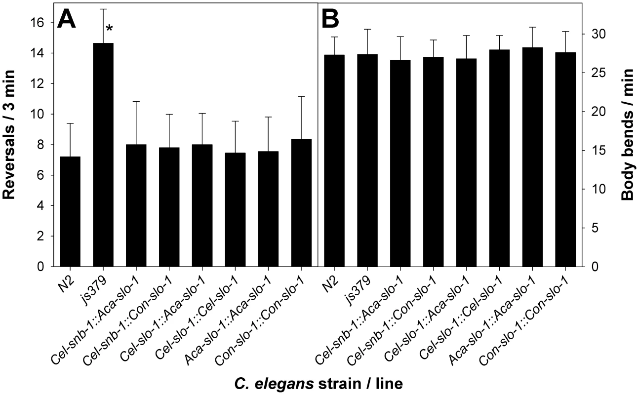Behavioural phenotype of transgenic <i>C. elegans</i>.