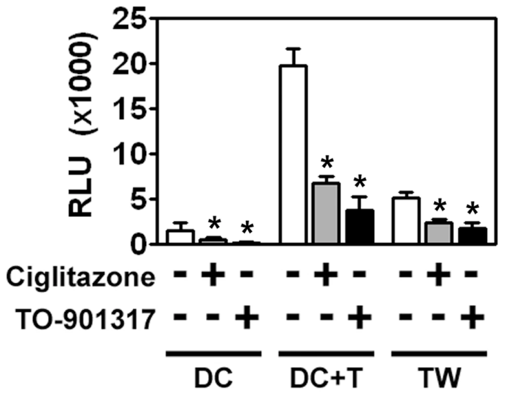 MDDCs are poorly infected with HIV-1 but can mediate <i>trans</i>-infection of T cells.