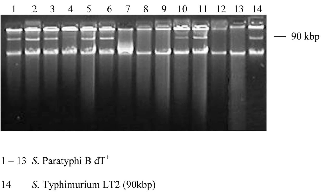 Plazmidový profil kmeňov S. Paratyphi B dT+ (S. Java).
Fig. 1. Plasmid profiles of strains of S. Paratyphi B dT+ (S. Java)