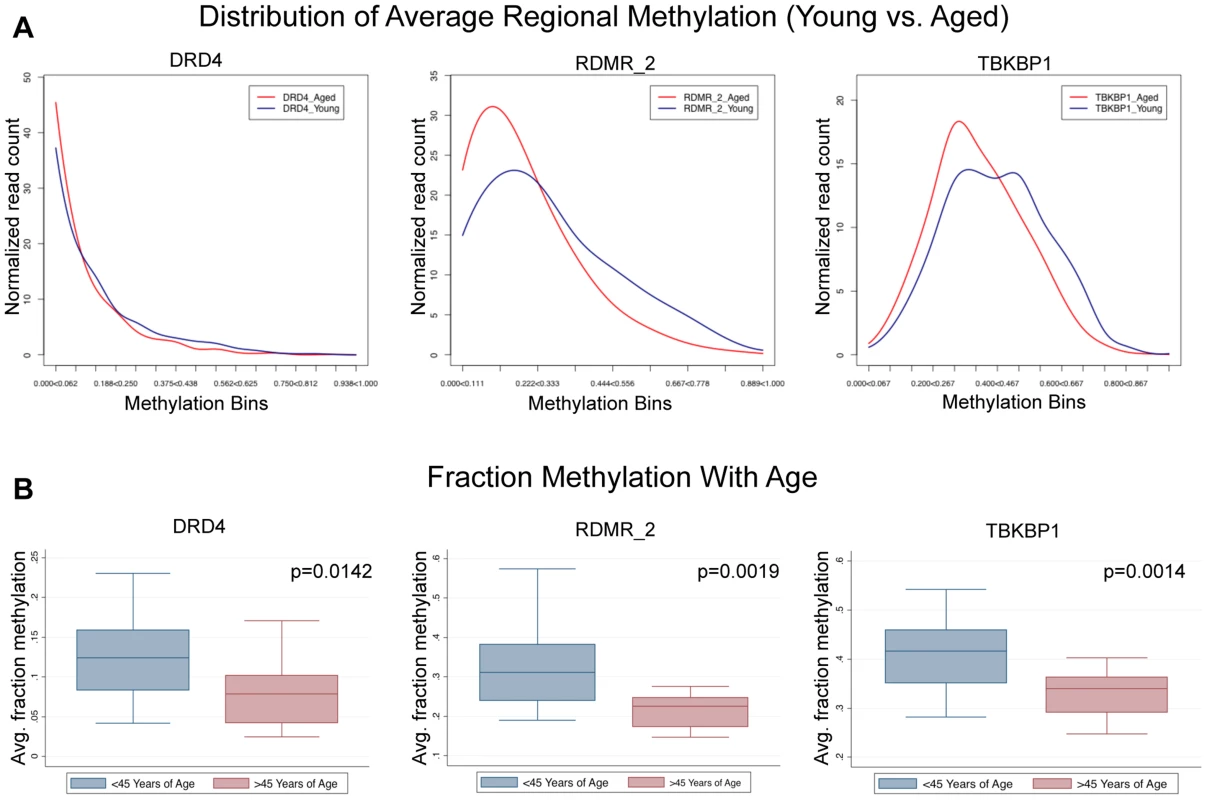 Single molecule analysis reveled 3 distinct alterations that occur with age.