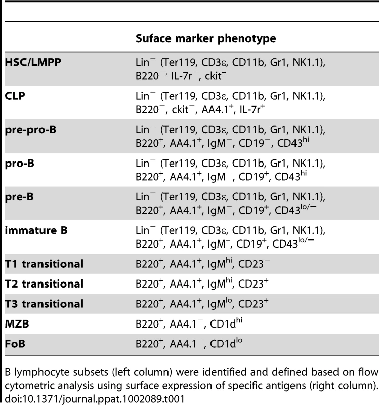 Differentiation antigen phenotypes of developing and mature B2 B cells.