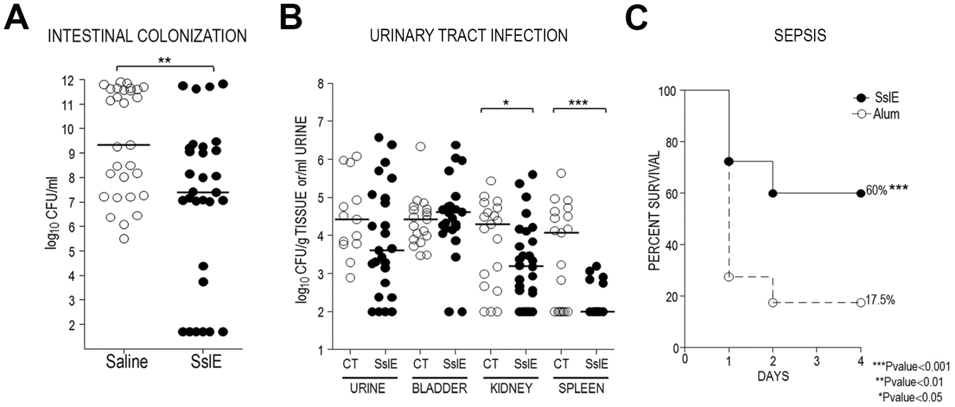 SslE<sub>IHE3034</sub> induces cross-protection in intestinal colonization, UTI and sepsis models.