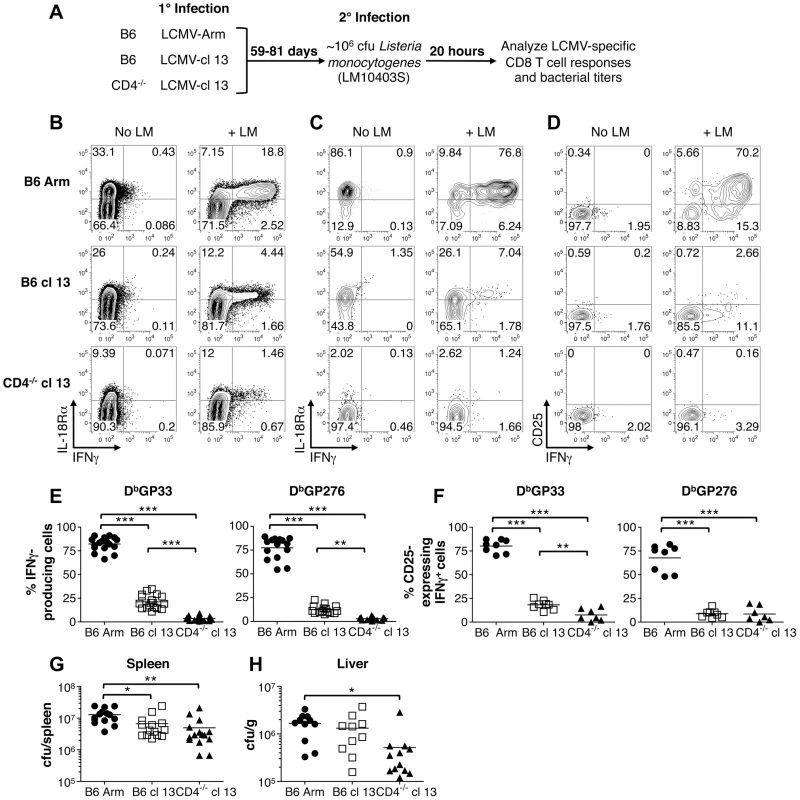 Memory but not exhausted T cells express IFN-γ and CD25 in response to LM infection.
