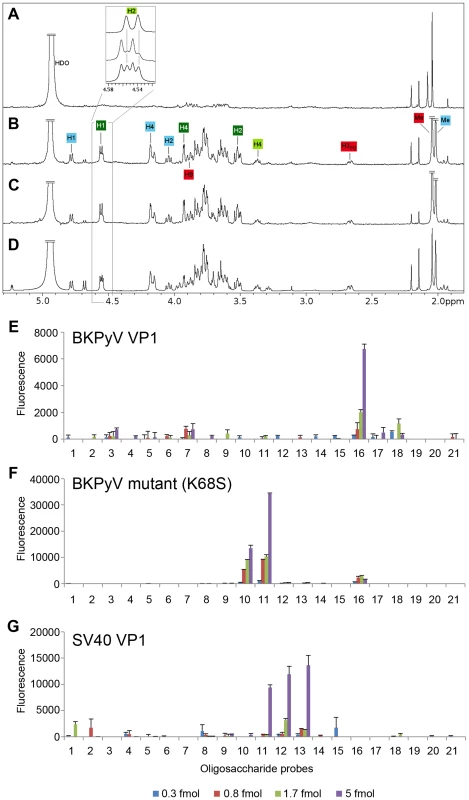 The K68S mutation targets BKPyV to the SV40 receptor GM1.