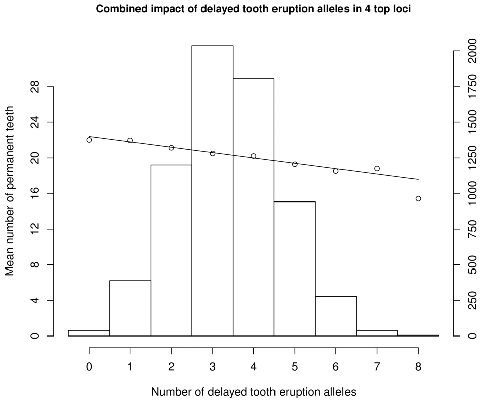 Combined distribution of number of delayed permanent tooth eruption alleles and combined effects for all four identified SNPs at age 10–12 years (N = 6,919).